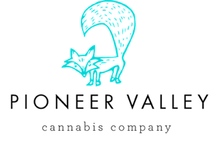 Image description logo-pioneer