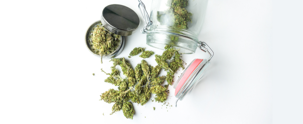 How to Store Cannabis Properly: Freshness, Flavor & Potency Tips