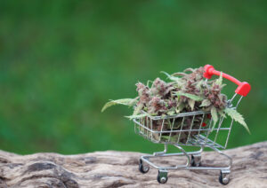 4/20 Shopping Cart filled with cannabis