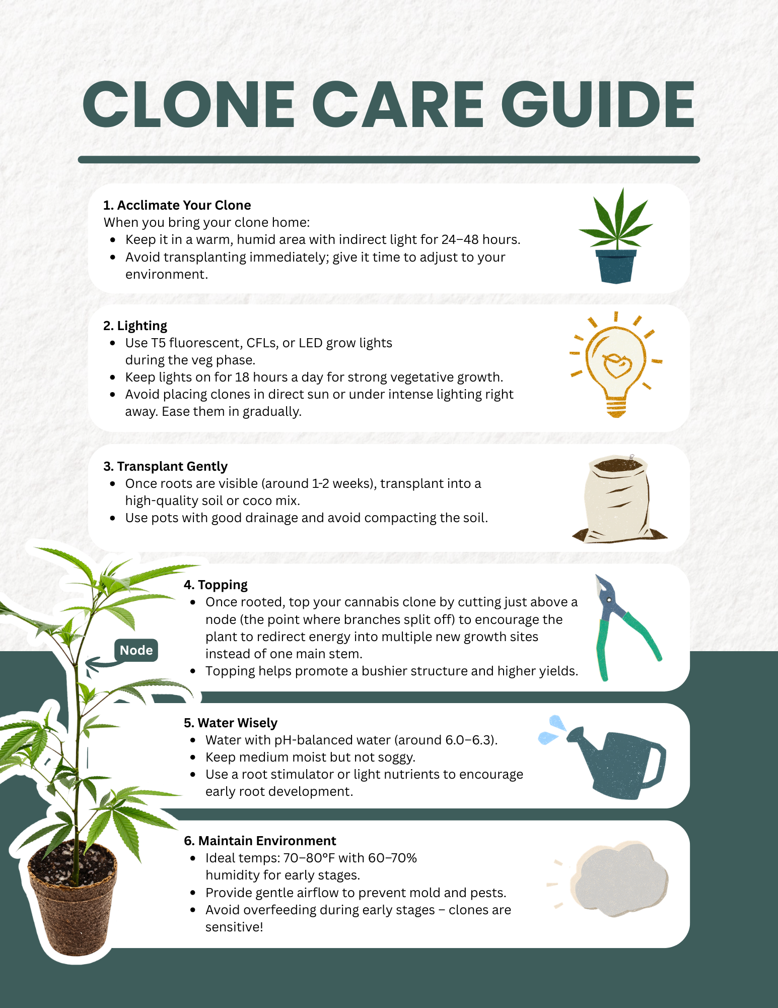 how to grow weed at home
